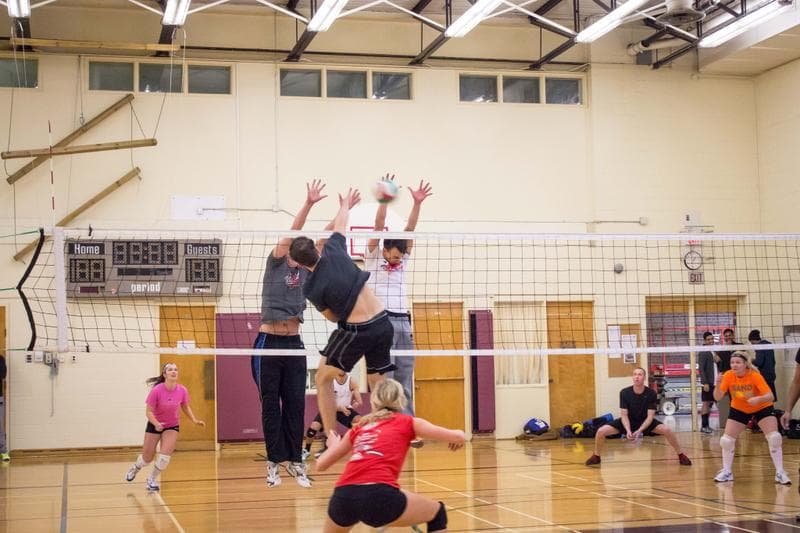 Co-ed volleyball players blocking at the net in an indoor gym